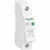 Blitzangebot ✨ Schneider Electric Leitungsschutzschalter R9F24120 😉 -SCHNEIDER ELECTRIC SHOP 10984807 1