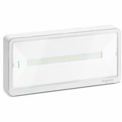 Bestpreis 😀 SCHNEIDER ELECTRIC Schneider LED-Wand-Notfalllampe EXW LIGHT 110 SE/SA OVE44010 ⌛