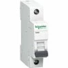 Brandneu ⭐ Schneider Electric K60 LS 1P 16A C 6KA (A9K02116) 🤩 -SCHNEIDER ELECTRIC SHOP 37111254 1