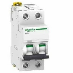 Billig 😀 Sicherungsautomat IC60N 2P 16A Kurve C - SCHNEIDER ELECTRIC 🎁