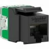 Aktion 🛒 SCHNEIDER ELECTRIC RJ45 Keystone UTP CAT6 Stecker Schwarz 🔔 -SCHNEIDER ELECTRIC SHOP 60335611 1