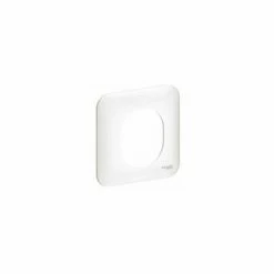 Bestpreis 🎉 SCHNEIDER ELECTRIC OVALIS - WEISSE ABDECKPLATTE (RAL9003) - 1 SCHNEIDER ELEKTROSTATION 👏