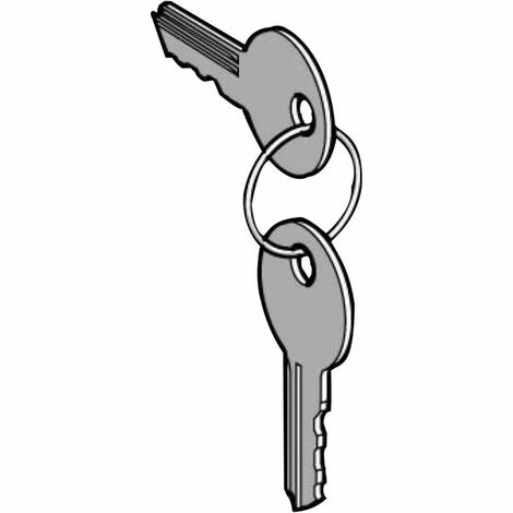 Schneider Electric Ersatzschlüssel ZBG455 Am billigsten 🎉 Schneider Electric Ersatzschlüssel ZBG455 🤩 -SCHNEIDER ELECTRIC SHOP 8138620 1