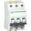 Budget ⌛ Schneider Electric LS-Schalter A9F03325 ❤️ -SCHNEIDER ELECTRIC SHOP 8157799 1